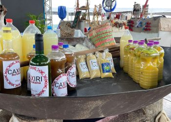 Fepiam Marca Presença na 1ª Feira de Negócios e Inovação pelos 25 Anos da Afeam