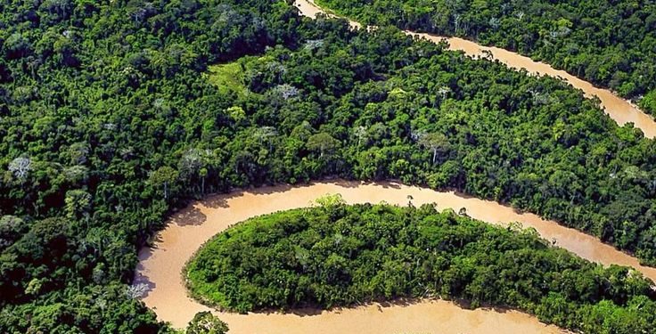 Dia da Amazônia: Novo Modelo de Negócio em Restauração Ambiental