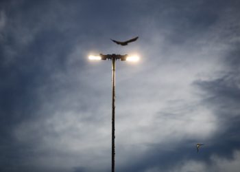 Semig Desenvolve Plataforma de Monitoramento de Combustíveis e Energia