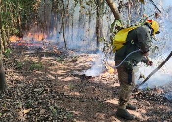 Ações Integradas de Combate a Incêndios no Baixo Rio Negro