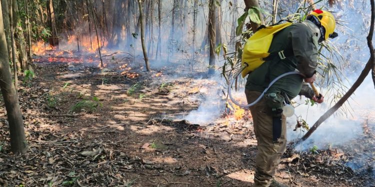 Ações Integradas de Combate a Incêndios no Baixo Rio Negro