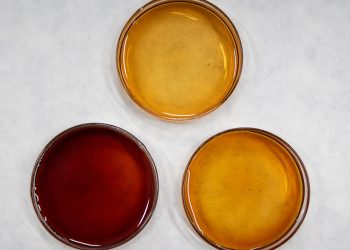 Mel da florada do açaí possui altos teores de compostos antioxidantes