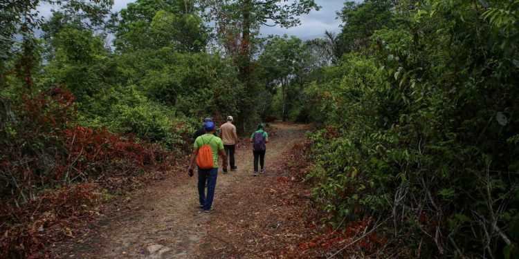 Amazonastur promove ação para fortalecer o setor turístico em Parintins