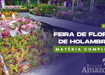 Feira de Flores de Holambra 2024
