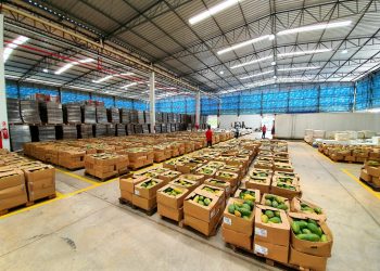 ADS entrega 39 toneladas de peixes a instituições credenciadas pelo FPS