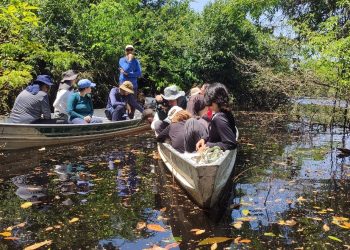 Evento imersivo nas florestas úmidas da Amazônia é realizado com apoio institucional