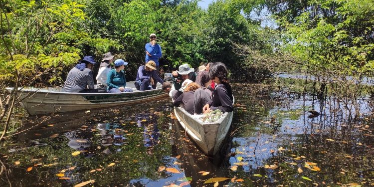 Evento imersivo nas florestas úmidas da Amazônia é realizado com apoio institucional
