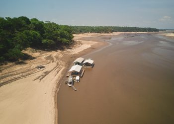 Iniciativas de bioeconomia podem contribuir para redução de catástrofes