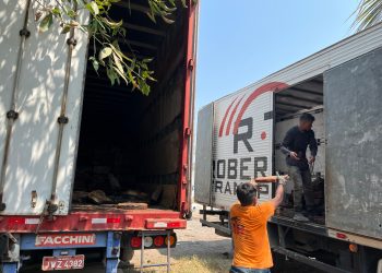 Seringueiros da Amazônia garantem renda de R$ 441 mil com borracha nativa