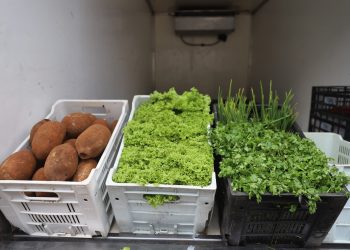 Sepror entrega mais de 120 toneladas de produtos da agricultura familiar