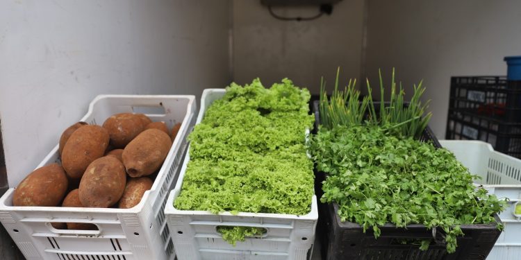 Sepror entrega mais de 120 toneladas de produtos da agricultura familiar
