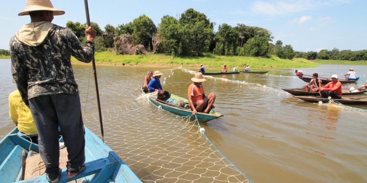 Sepror informa que Seguro Defeso foi liberado pelo Governo Federal