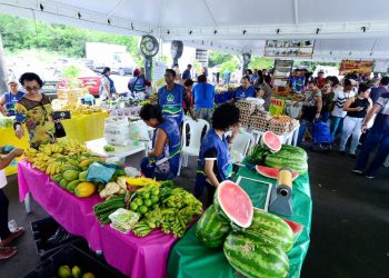 Feiras da ADS serão realizadas até quinta-feira em razão das eleições municipais