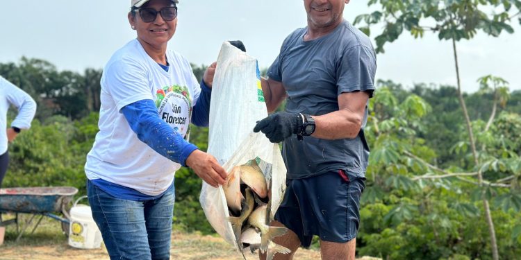 Edição especial deve movimentar mais de R$ 2 milhões com a venda de pescado