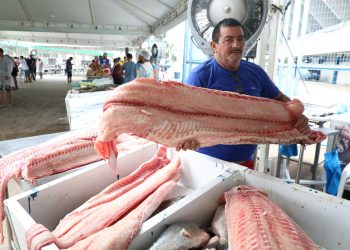 Mais de 100 toneladas de peixes são comercializadas na edição especial do Feirão do Pescado em Manaus