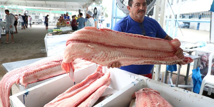 Mais de 100 toneladas de peixes são comercializadas na edição especial do Feirão do Pescado em Manaus