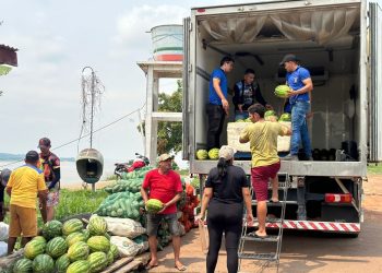 Amazonas abre edital para credenciar produtores rurais na merenda escolar