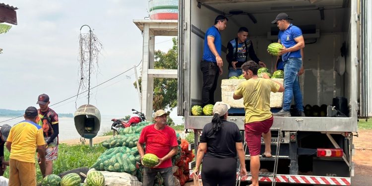 Amazonas abre edital para credenciar produtores rurais na merenda escolar