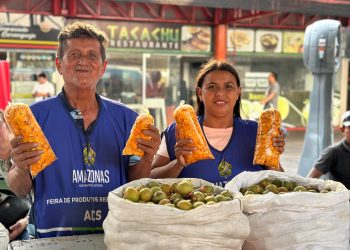 Ingrediente indispensável no X – Caboquinho, o tucumã está em alta nas feiras da ADS
