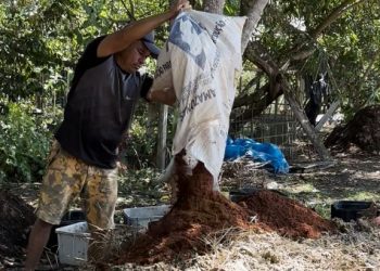 Idam destaca benefícios e recomenda compostagem para Agricultura Familiar