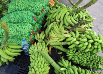 Sepror entrega 15 toneladas de alimentos do PAA para seis entidades em Manaus