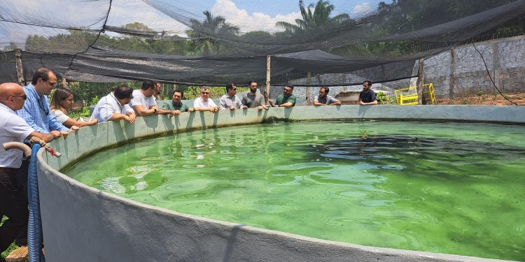 Mais um projeto destinado à produção de pirarucu em grande escala é apresentado à Suframa