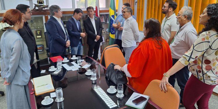 Fábrica da Chint no Polo Industrial de Manaus será inaugurada em março de 2025