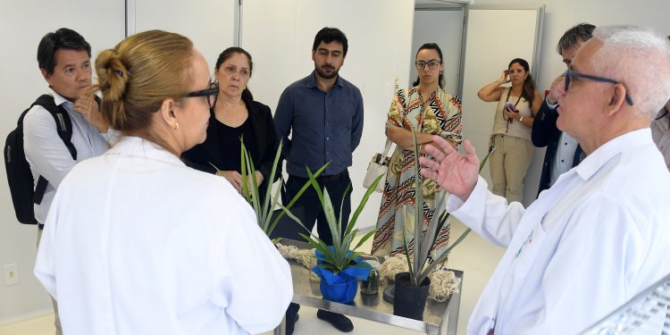 Centro de Bionegócios da Amazônia prorroga inscrições do edital CBA