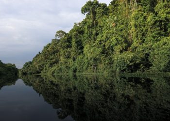 Diálogos Amazônicos debate reforma tributária