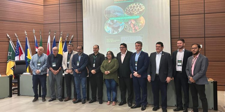 Suframa participa de Workshop sobre arranjos produtivos locais na Amazônia Legal