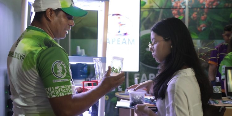 Projeto impulsiona inovação na produção de mudas in vitro com biotecnologia