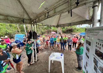 Idam realiza demonstrações de método sobre produção de abacaxi em Barreirinha