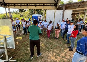 Idam divulga resultado de atividades realizadas em 2024