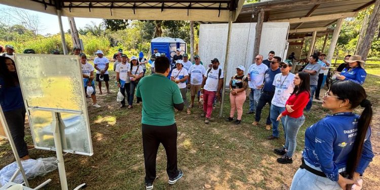 Idam divulga resultado de atividades realizadas em 2024