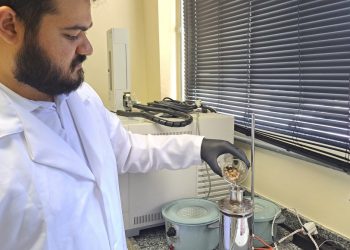 Pará inova com biocombustível e bioasfalto de açaí e tucumã