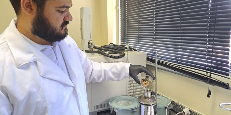 Pará inova com biocombustível e bioasfalto de açaí e tucumã