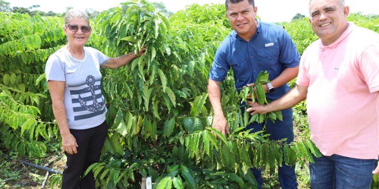Governo do Amazonas incentiva crescimento do setor em Iranduba