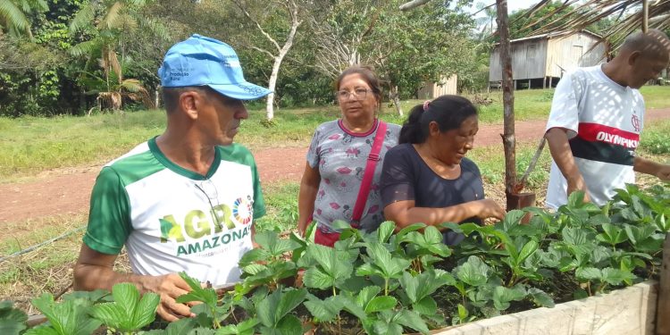 Sepror profissionalizou mais de 6,8 mil produtores rurais