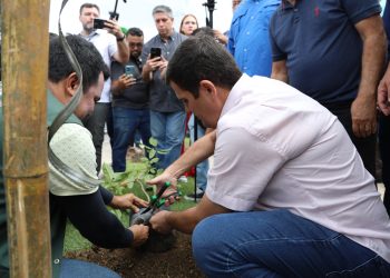 Prefeitura realiza plantio de 500 mudas de plantas
