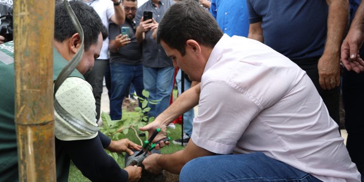 Prefeitura realiza plantio de 500 mudas de plantas