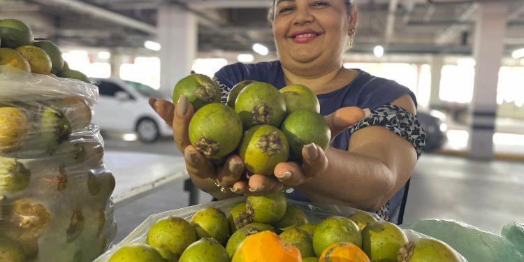 Feiras de Produtos Regionais da ADS serão realizadas em Manaus com programação completa