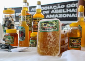 Nova lei reforça a bioeconomia como pilar estratégico para sustentabilidade