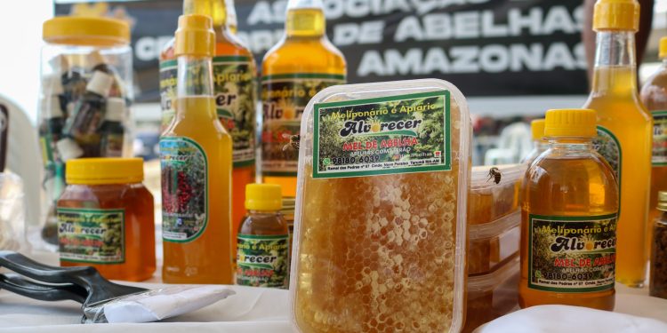 Nova lei reforça a bioeconomia como pilar estratégico para sustentabilidade