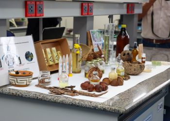 Nova legislação impulsiona bioeconomia com apoio da Sedecti