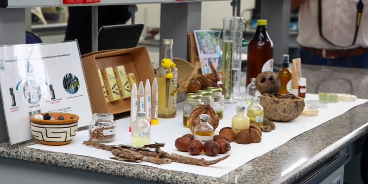 Nova legislação impulsiona bioeconomia com apoio da Sedecti