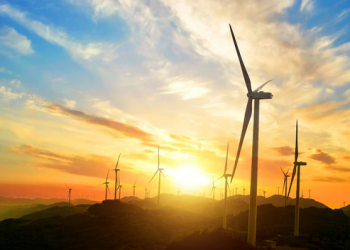 COP 30 e Transição Energética em debate no Fórum Econômico Mundial