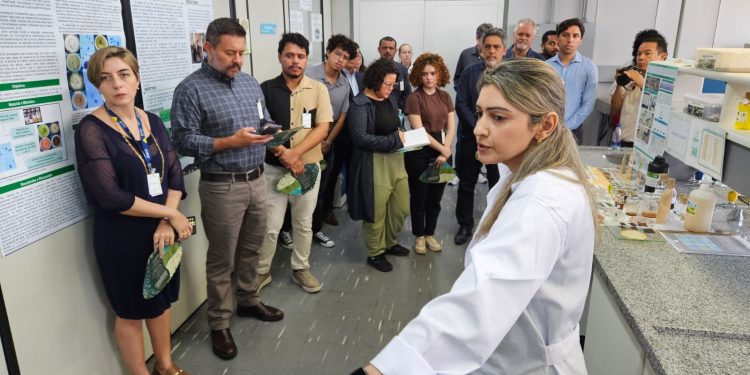 CBA debate oportunidades da Bioeconomia para empresas Americanas