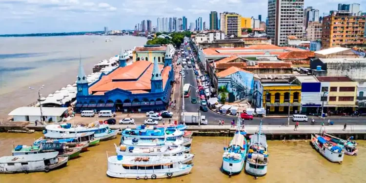 Empresários da Floresta se mobilizam para lucrar na COP-30