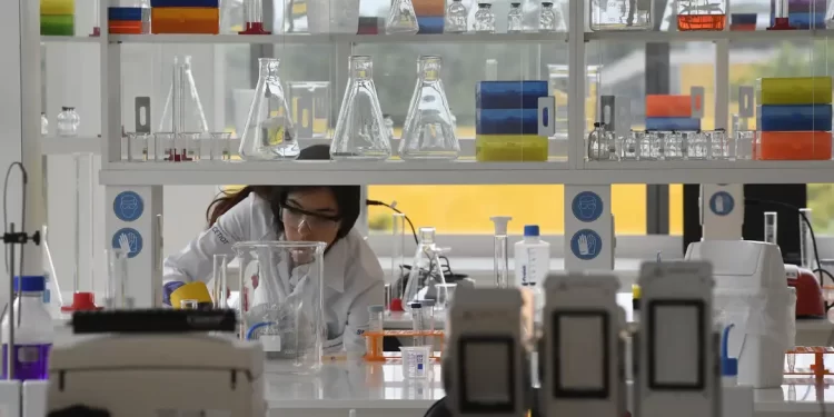 Senai atenderá 10,8 mil micro, pequenas e médias indústrias em 2025