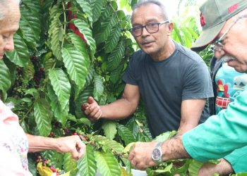 ADS faz visita técnica visando impulsionar produção e venda do café